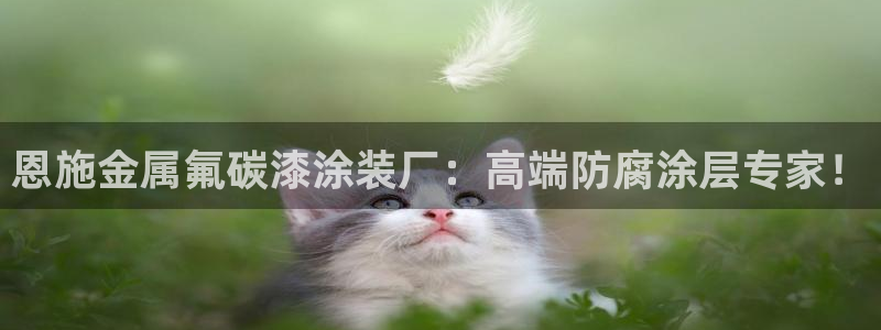 美狮美高梅饮料是免费的吗