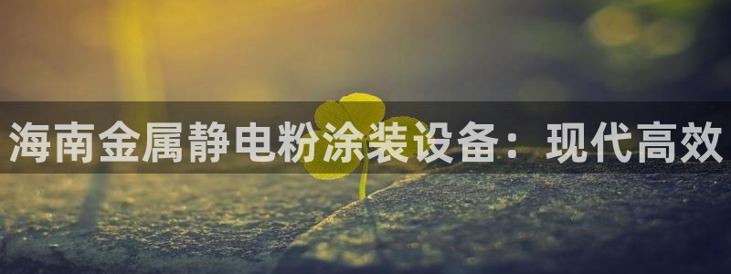 美狮美高梅早餐价格